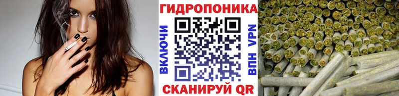 Где купить наркотики Чапаевск Псилоцибиновые грибы  ГАШИШ  Конопля  COCAIN 