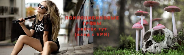 индика Лабытнанги