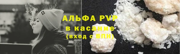 индика Лабытнанги
