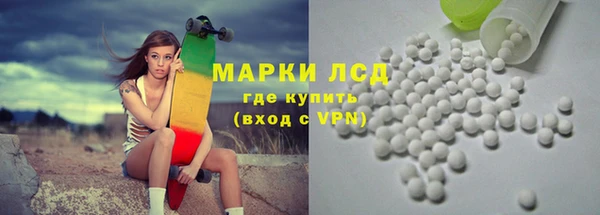 индика Лабытнанги