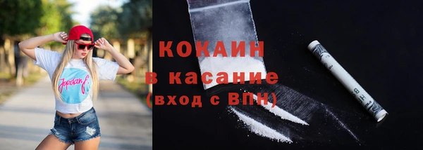 индика Лабытнанги