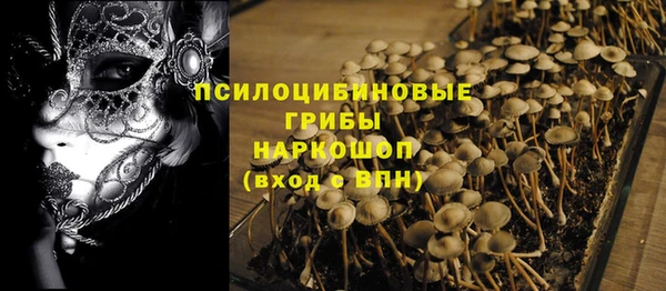 индика Лабытнанги