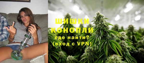 индика Лабытнанги