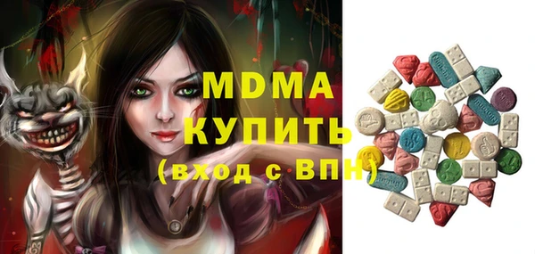 индика Лабытнанги