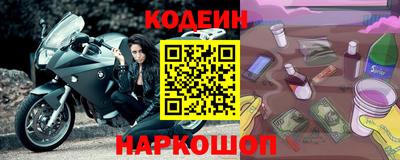 индика Кингисепп