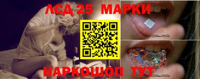 индика Кингисепп