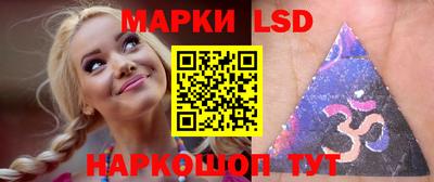 индика Кингисепп