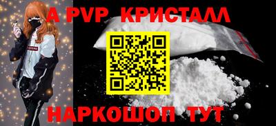 индика Кингисепп