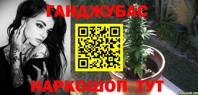 индика Кингисепп