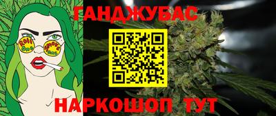 индика Кингисепп