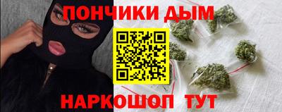 индика Кингисепп