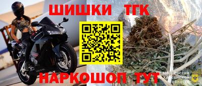 индика Кингисепп