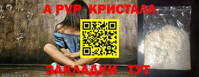 индика Кингисепп