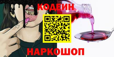 индика Кингисепп