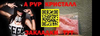индика Кингисепп