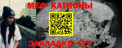 индика Кингисепп
