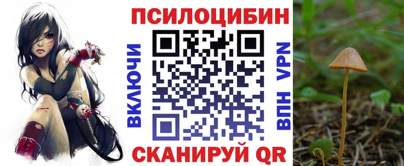 Галлюциногенные грибы мицелий  Чапаевск 
