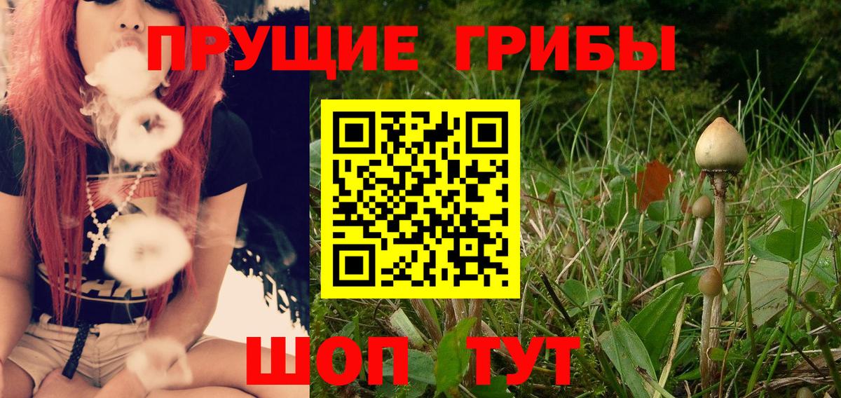 Галлюциногенные грибы Psilocybine cubensis Чапаевск