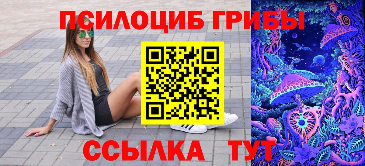 Псилоцибиновые грибы Psilocybine cubensis  Чапаевск 